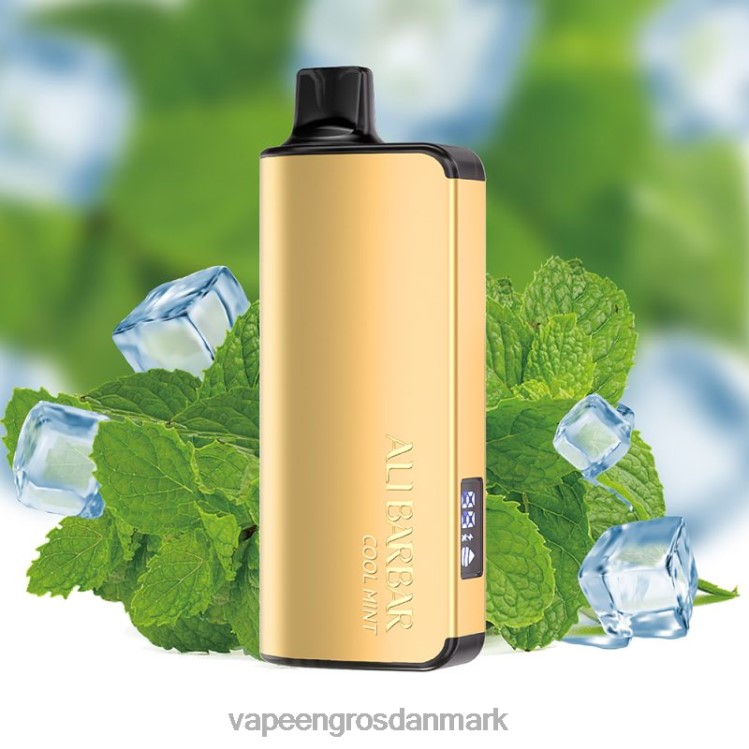 Vape Shops In Denmark - Alibarbar Ingot 20000 engangs vape kølig mynte 2NZN835