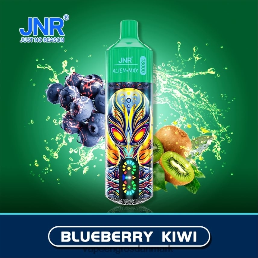 blåbær kiwi