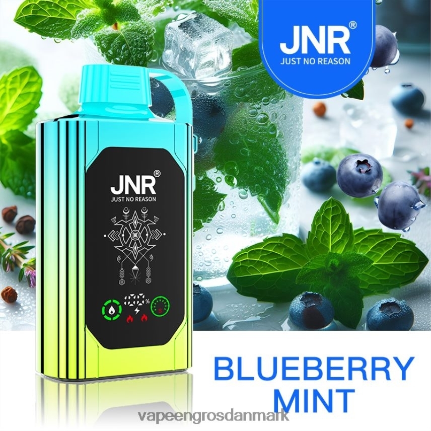 E Væske Med Nikotin blåbær mynte RLD6X618 JNR SHISHA BOX