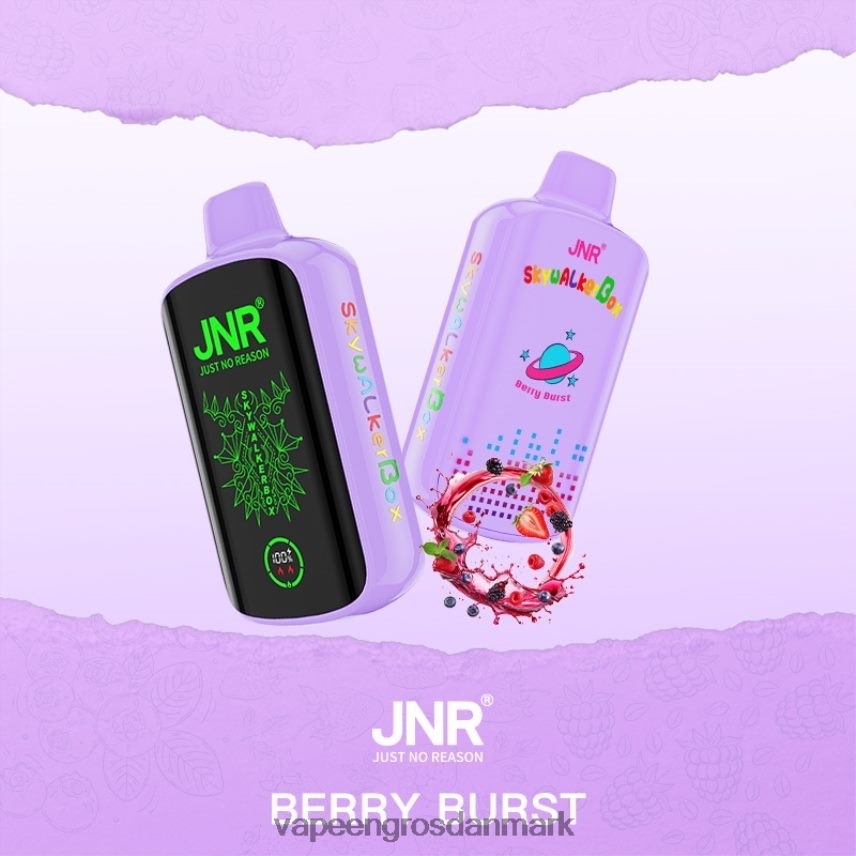 Vape Engros Danmark bær sprængt RLD6X582 JNR SKYWALKER BOX