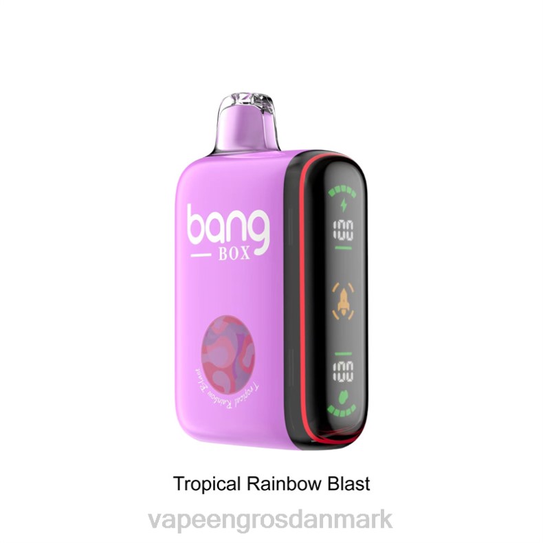 Vape Wholesale Helsingør - Bang Box 9000-18000 pust intelligent power display tropisk regnbueeksplosion ZXHN36