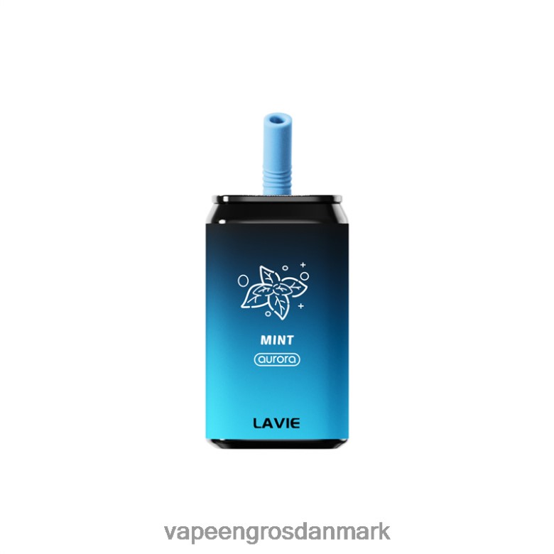 Vape Shops In Denmark - LAVIE Aurora 11000 pust F4ZFFD145 mynte