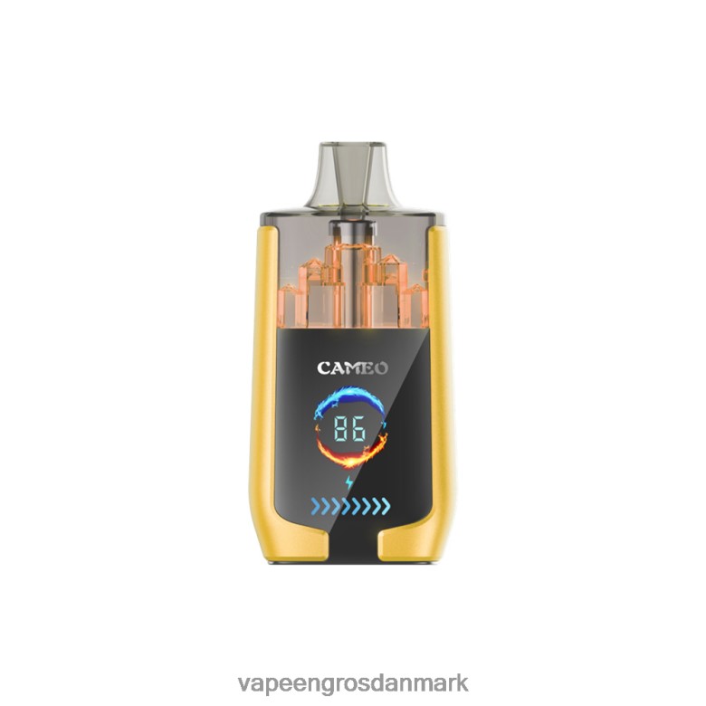 mango er