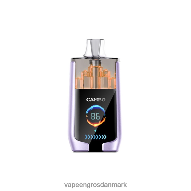 Vape Wholesale Helsingør - LAVIE CAMEO 30000 pust F4ZFFD16 drue is