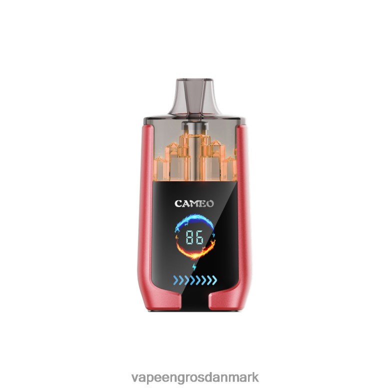 Vape Wholesale In Denmark - LAVIE CAMEO 30000 pust F4ZFFD14 vandmelon is