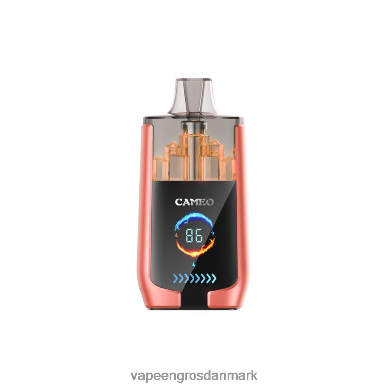 Vape Wholesale In Denmark - LAVIE CAMEO 30000 pust F4ZFFD24 jordbær vandmelon