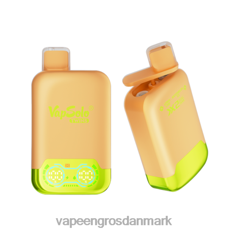Vape Wholesale København - Vapsolo TWINS engangs vape citron lime & vandmelon is 2NZN8123